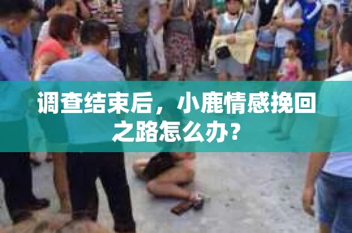调查结束后，小鹿情感挽回之路怎么办？