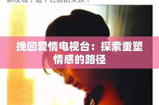 挽回爱情电视台：探索重塑情感的路径