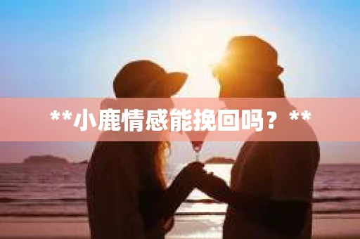 **小鹿情感能挽回吗？**
