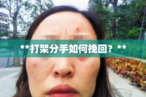 **打架分手如何挽回?** **打架分手如何挽回?**
