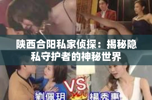 陕西合阳私家侦探：揭秘隐私守护者的神秘世界