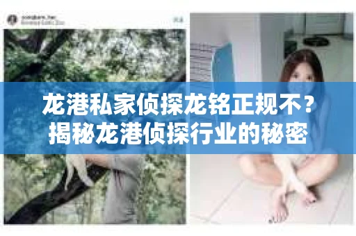 龙港私家侦探龙铭正规不？揭秘龙港侦探行业的秘密