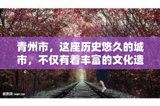 青州市，这座历史悠久的城市，不仅有着丰富的文化遗产，也有着现代生活的便捷。那么，问题来了——青州市有私家侦探公司吗？这个问题，对于需要侦探服务的人来说，无疑至关重要。接下来，我就来为大家揭开这个谜底。