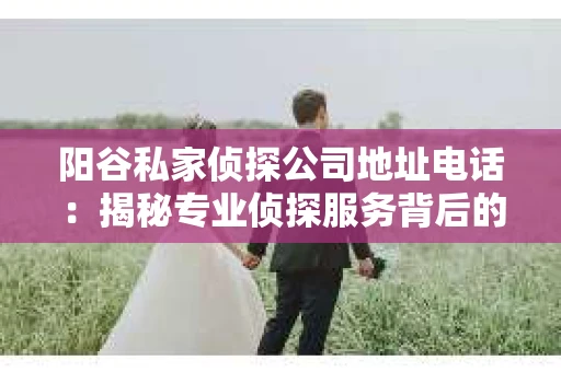 阳谷私家侦探公司地址电话：揭秘专业侦探服务背后的故事