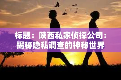 标题：陕西私家侦探公司：揭秘隐私调查的神秘世界
