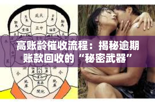 高账龄催收流程：揭秘逾期账款回收的“秘密武器”