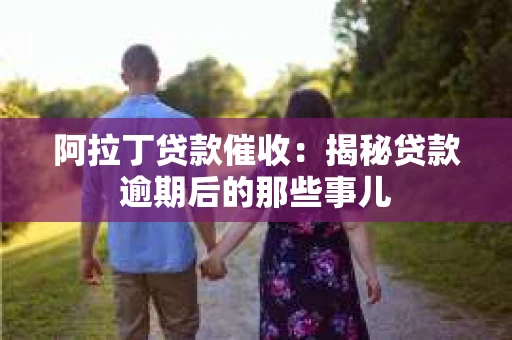 阿拉丁贷款催收：揭秘贷款逾期后的那些事儿
