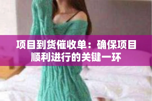 项目到货催收单：确保项目顺利进行的关键一环