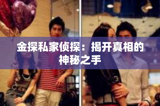 金探私家侦探:揭开真相的神秘之手 金探私家侦探:揭开真相的神秘之手
