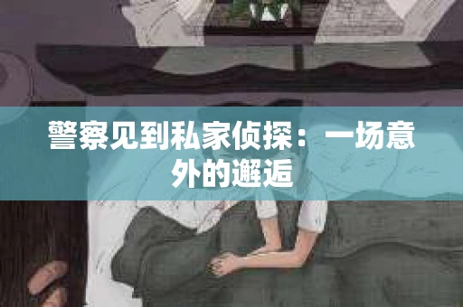 警察见到私家侦探：一场意外的邂逅