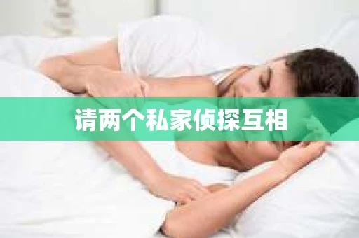 请两个私家侦探互相