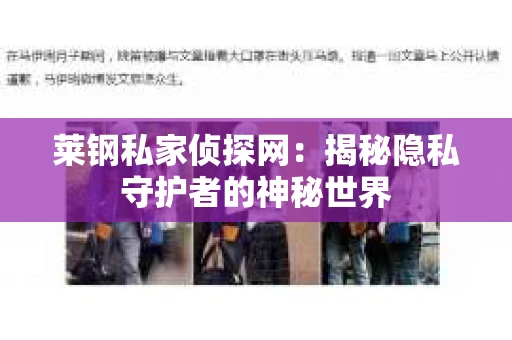 莱钢私家侦探网：揭秘隐私守护者的神秘世界