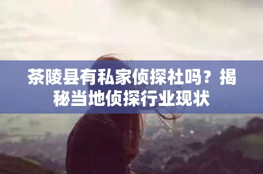 茶陵县有私家侦探社吗？揭秘当地侦探行业现状