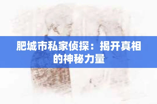 肥城市私家侦探：揭开真相的神秘力量