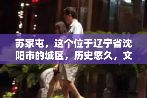 苏家屯，这个位于辽宁省沈阳市的城区，历史悠久，文化底蕴深厚。近年来，随着社会的发展，人们对于私家侦探的需求也逐渐增加。那么，苏家屯有私家侦探吗？今天，我们就来聊聊这个话题。