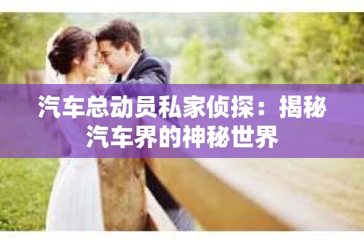 汽车总动员私家侦探：揭秘汽车界的神秘世界