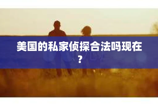 美国的私家侦探合法吗现在？