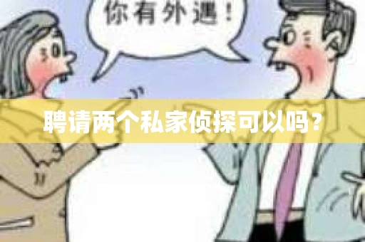聘请两个私家侦探可以吗？