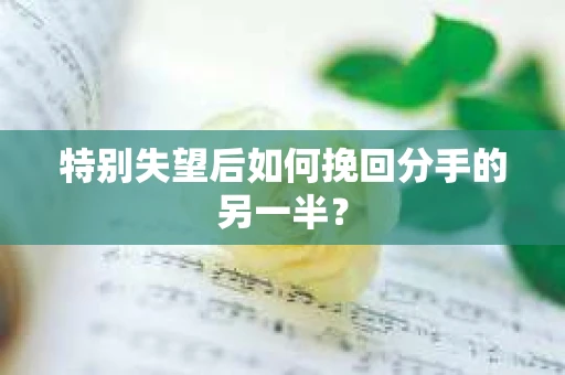 特别失望后如何挽回分手的另一半? 特别失望后如何挽回分手的另一半?