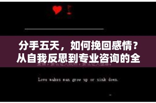 分手五天,如何挽回感情?从自我反思到专业咨询的全面解决方案 分手五天,如何挽回感情?从自我反思到专业咨询的全面解决方案